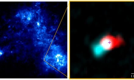 Alma individua una stella neonata nella Nube di Magellano