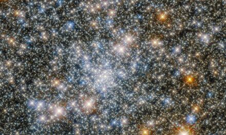 Hubble cattura un ammasso di stelle nella Costellazione del Sagittario