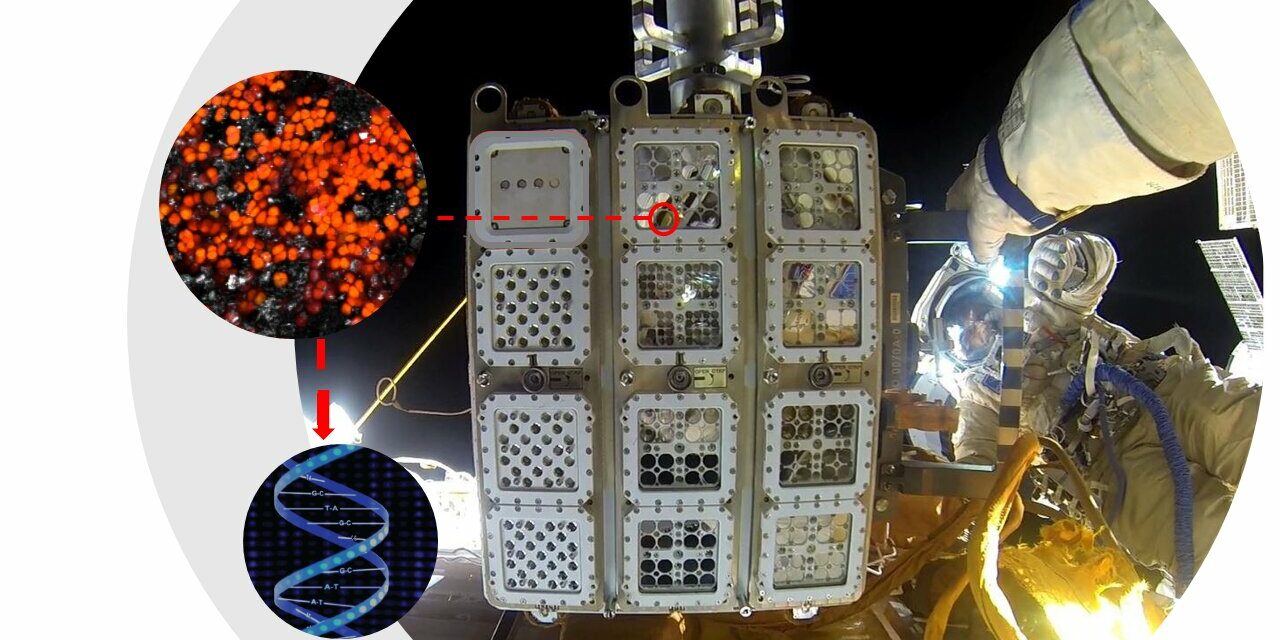 Test incoraggianti sulla ISS per i futuri avamposti spaziali