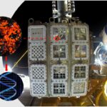 Test incoraggianti sulla ISS per i futuri avamposti spaziali