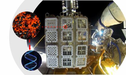 Test incoraggianti sulla ISS per i futuri avamposti spaziali