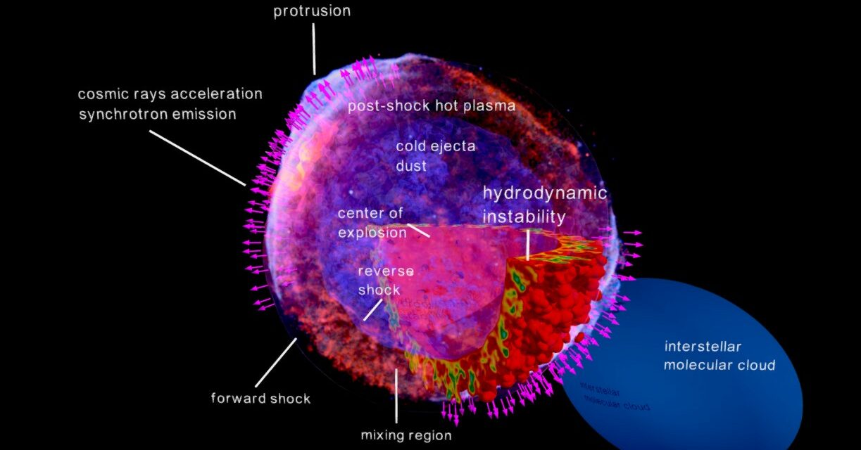 Sn 1006, un “super Lhc” nella costellazione del Lupo