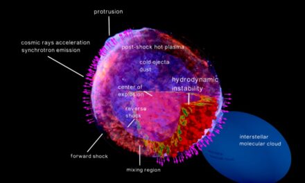 Sn 1006, un “super Lhc” nella costellazione del Lupo