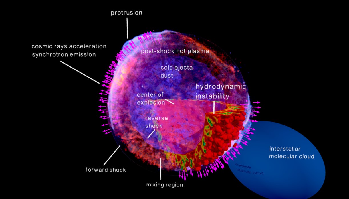 Sn 1006, un “super Lhc” nella costellazione del Lupo