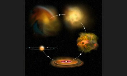 Protostelle: la via per studiare la formazione dei pianeti