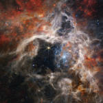 Webb mostra stelle mai viste nella Nebulosa Tarantola