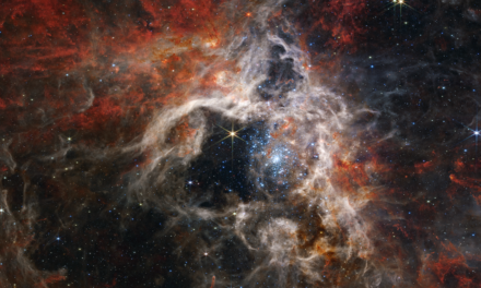 Webb mostra stelle mai viste nella Nebulosa Tarantola