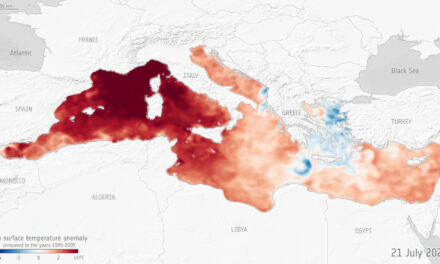Mediterraneo bollente