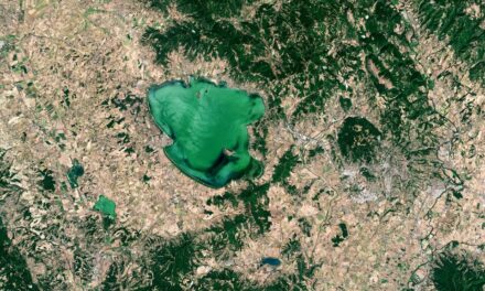 Il lago Trasimeno in sofferenza