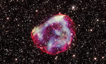 Hubble e Chandra ricostruiscono l’esplosione di una supernova