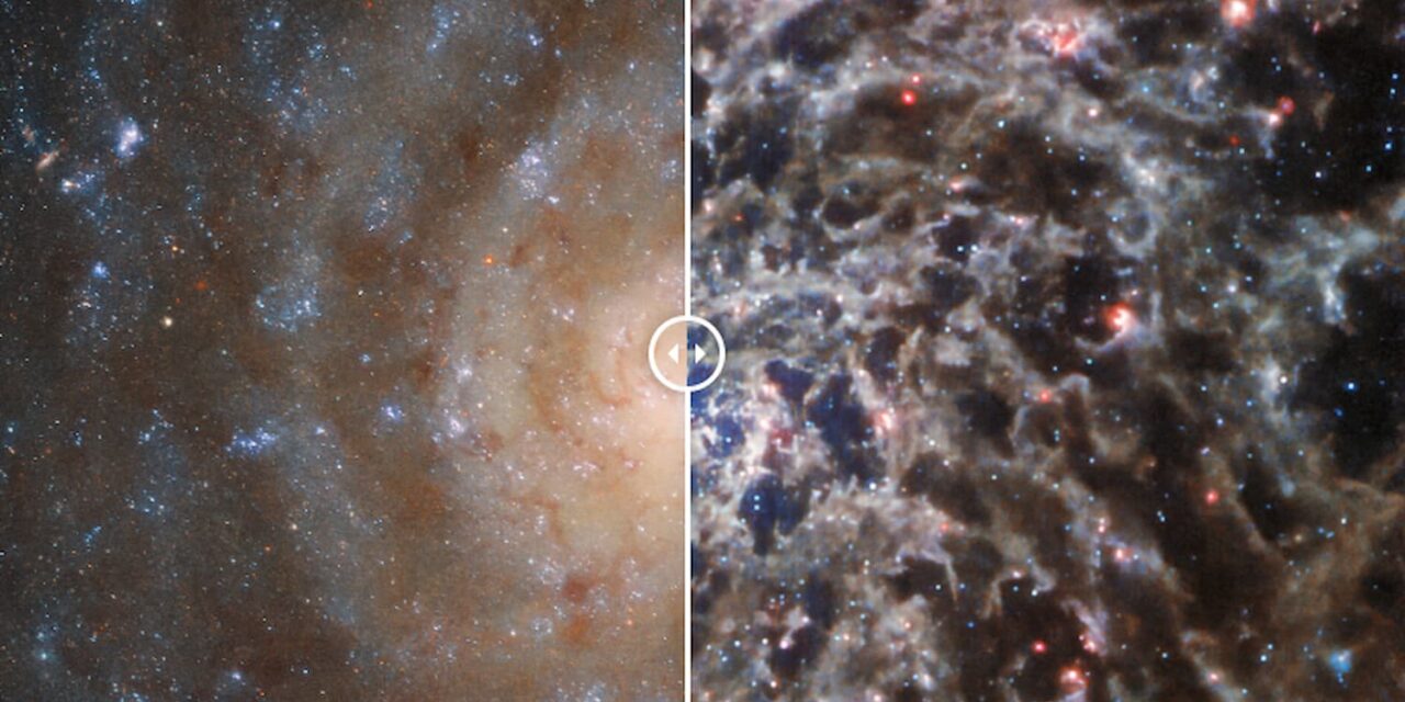 Webb e Hubble rivelano le complesse strutture di una galassia