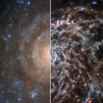 Webb e Hubble rivelano le complesse strutture di una galassia