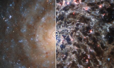 Webb e Hubble rivelano le complesse strutture di una galassia