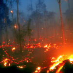 AsiTv Replay: Satelliti contro la crisi climatica