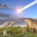 Mari nel caos dopo l’evento Chicxulub