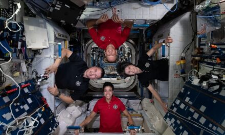 AstroSamantha torna sulla Terra