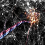 L’allineamento galattico dipende dalla massa del bulge