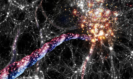 L’allineamento galattico dipende dalla massa del bulge