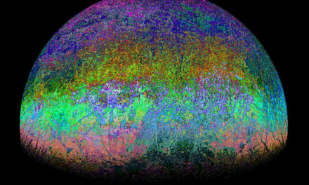 La luna di Giove decorata dai Citizen Scientists
