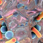 Cambiamenti climatici, nuovi studi su fossili dell’Eocene