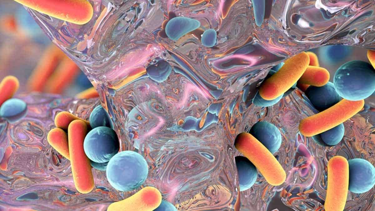 Cambiamenti climatici, nuovi studi su fossili dell’Eocene