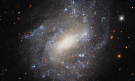 Una galassia solitaria nel mirino di Hubble