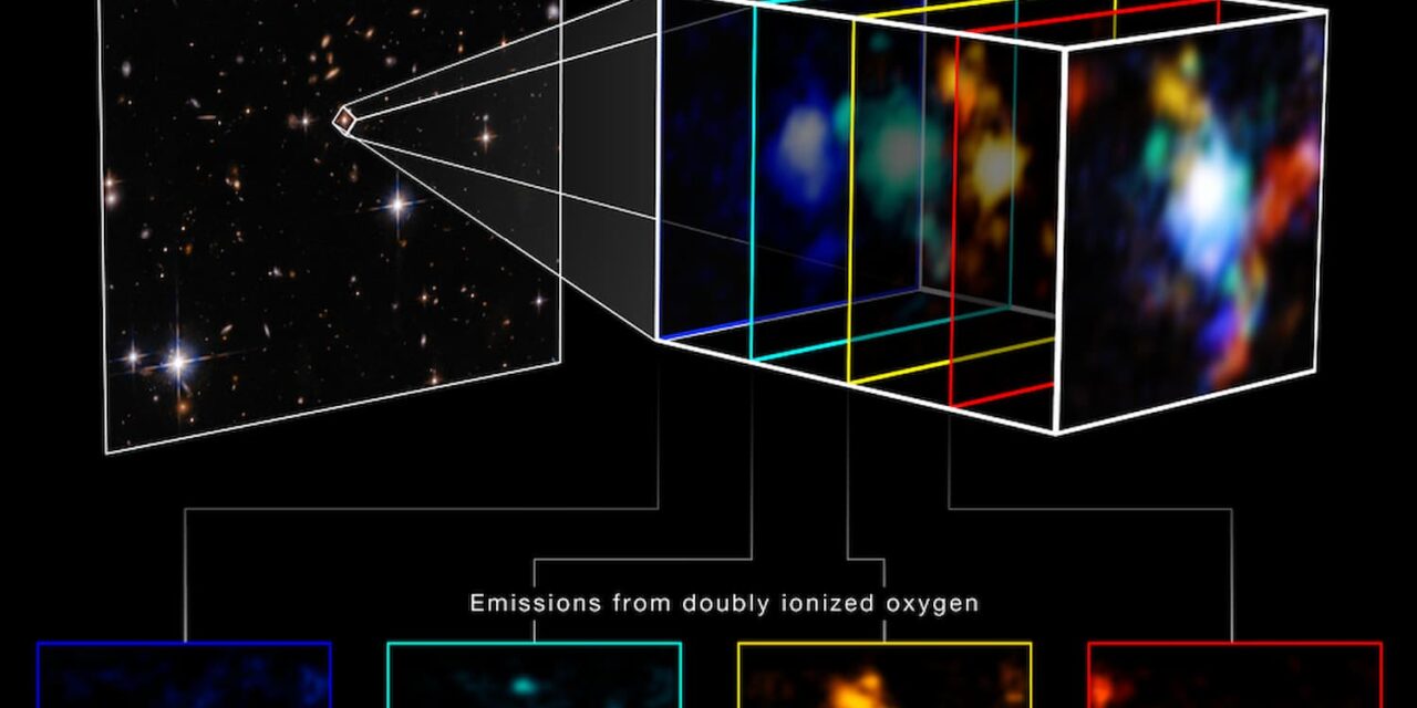 Webb individua un nodo denso di galassie nel cosmo primordiale 