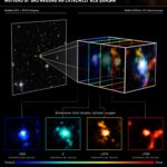 Webb individua un nodo denso di galassie nel cosmo primordiale 
