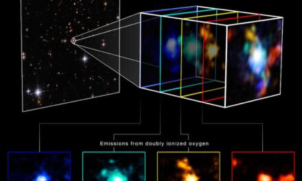 Webb individua un nodo denso di galassie nel cosmo primordiale 