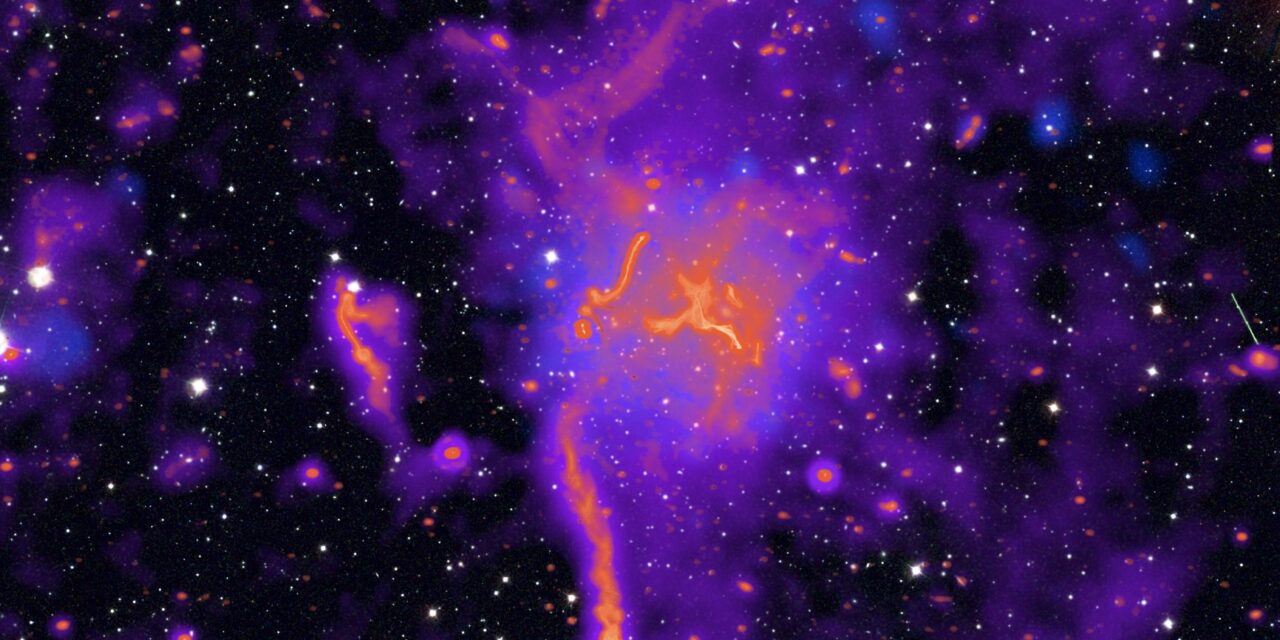 Lofar ‘fotografa’ il gigantesco bagliore radio attorno a un ammasso di galassie
