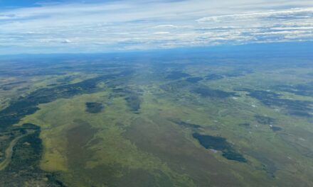 Artide, permafrost in crisi