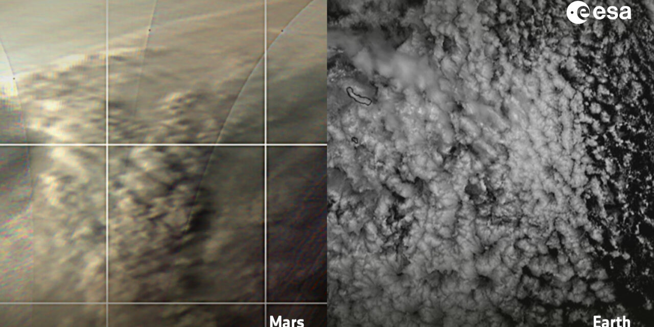 Su Marte tempeste di polvere simili a cicloni terrestri