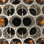 Un retroriflettore per il Lunar Pathfinder