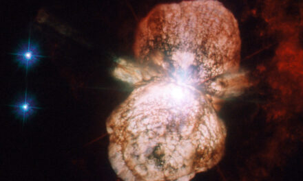 Molecole a base di silicio in una stella massiccia sull’orlo dell’esplosione