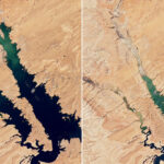 Laghi della Terra, numeri in crescita