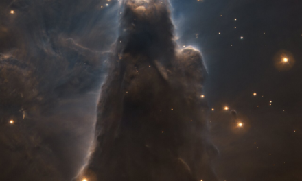 Vlt osserva la misteriosa Nebulosa del Cono