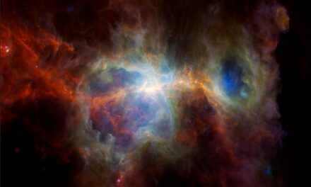 Una nebulosa scolpita dalle stelle
