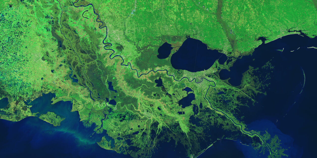 Zone umide, sguardi spaziali sul loro andamento