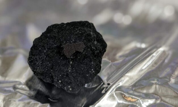 Winchcombe conferma il ruolo dei meteoriti sull’origine della vita sulla Terra