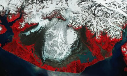Le ‘Sentinelle’ vegliano sul ghiaccio dell’Alaska