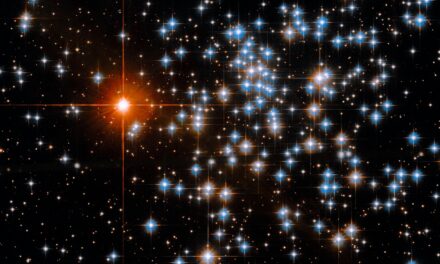 Una ‘spruzzata’ di stelle splendenti