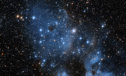 Hubble osserva la Costellazione del Dorado