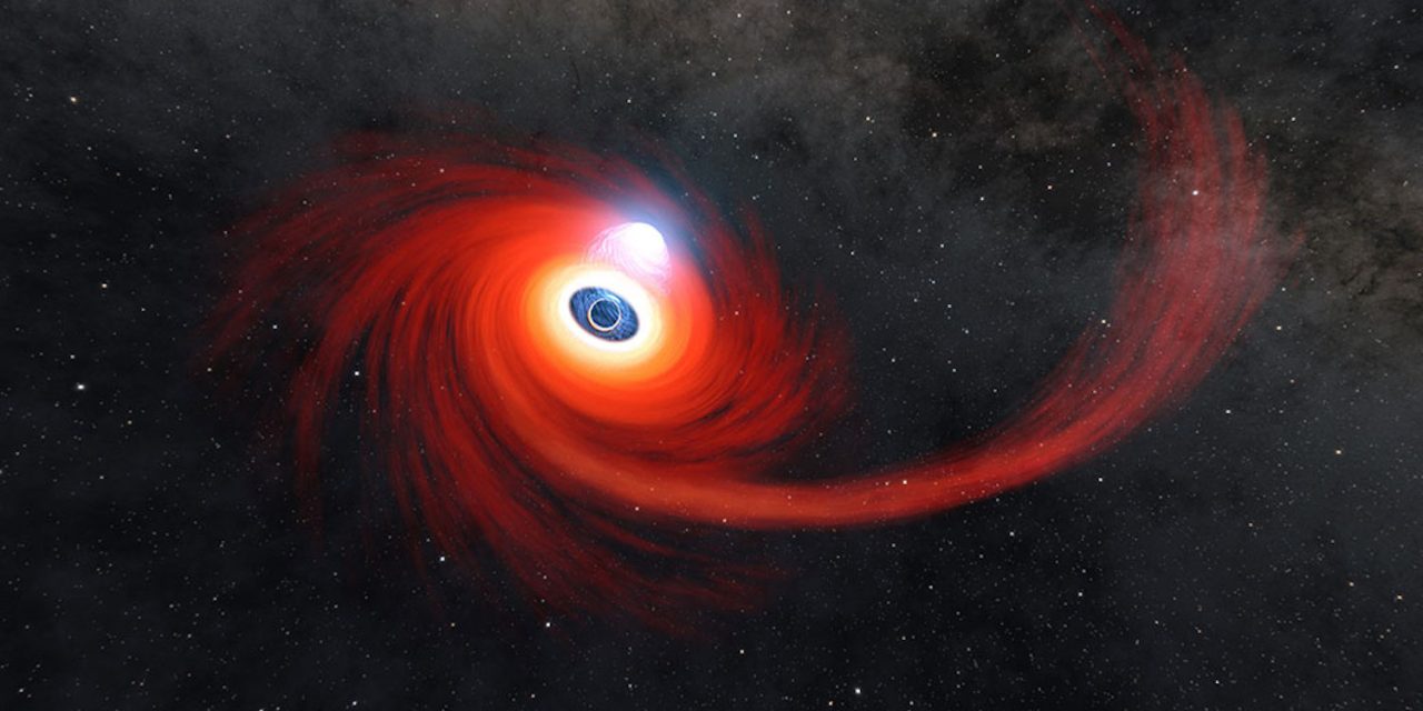 Nustar osserva il banchetto stellare di un buco nero
