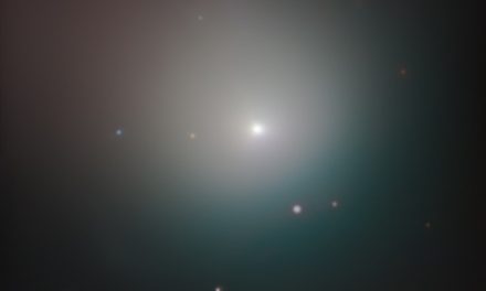 La cometa di Neanderthal diventa visibile, diretta EduInaf