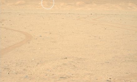 Ingenuity torna sotto lo sguardo di Perseverance