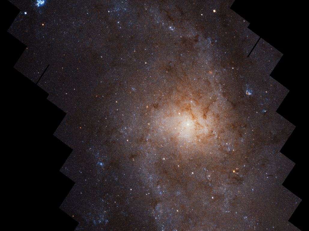 Strutture stellari ordinate nella galassia del Triangolo