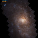 Strutture stellari ordinate nella galassia del Triangolo