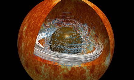 Nuclei stellari ‘pigroni’