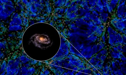 La Via Lattea, una galassia unica nel suo genere