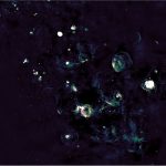 Pegasus mappa l’1% del piano galattico